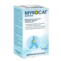 Мукосат капс. 577мг N80