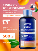 WATERDENT ЖИДКОСТЬ ДЛЯ ИРРИГАТОРА+ОПОЛАСКИВАТЕЛЬ ЕЖЕДНЕВНЫЙ УХОД УТРЕННИЙ ДЕТОКС 500МЛ
