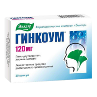 ГИНКОУМ 120 МГ N30 КАПС