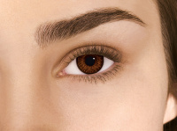 ЛИНЗЫ ALCON AIR OPTIX Colors N2 (-00.00) Brown