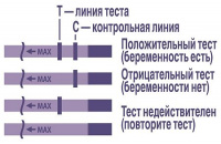 Тест на беременность Эвитест one N1