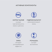 PRESIDENT  PROFI ЗУБНАЯ ПАСТА SENSITIVE 100МЛ