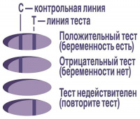 Тест на беременность Эвитест one N1
