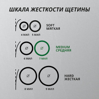 З/щетка Президент классик средняя (4900)