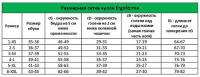 ERGOFORMA ЧУЛКИ КОМПРЕССИОННЫЕ АНТИВАРИКОЗНЫЕ КЛАСС 2/РАЗМЕР 4/ТЕЛЕСНЫЙ