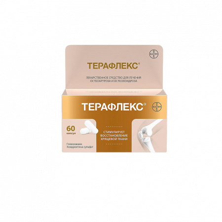 Терафлекс капс. 500мг+400мг N60