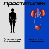 Простатилен супп. рект. 30мг N10 (в пересчете водораств пептиды 3мг)