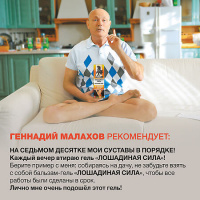 ЛОШАДИНАЯ СИЛА БАЛЬЗАМ-ГЕЛЬ РЕЛАКСИРУЮЩИЙ ДЛЯ ТЕЛА 500МЛ /АКЦИЯ за 1 шт./