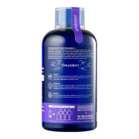 WATERDENT ЖИДКОСТЬ ДЛЯ ИРРИГАТОРА+ОПОЛАСКИВАТЕЛЬ ДЛЯ ПОЛОСТИ РТА 2В1 ОТБЕЛИВАЮЩАЯ 500МЛ